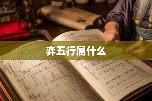 弈五行属什么