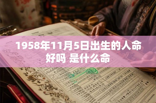 1958年11月5日出生的人命好吗 是什么命