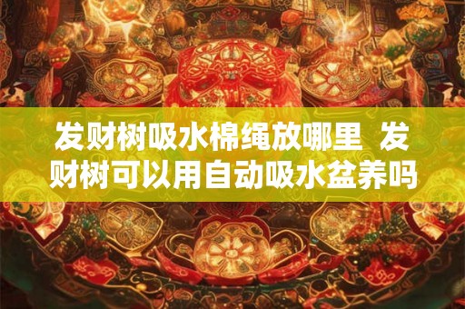 发财树吸水棉绳放哪里  发财树可以用自动吸水盆养吗