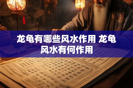 龙龟有哪些风水作用 龙龟风水有何作用