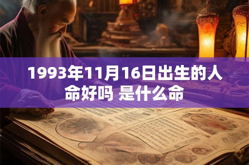 1993年11月16日出生的人命好吗 是什么命