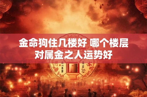 金命狗住几楼好 哪个楼层对属金之人运势好