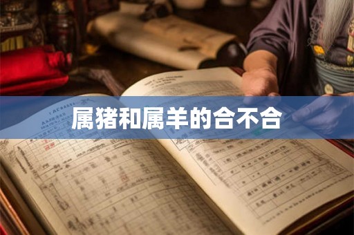 属猪和属羊的合不合