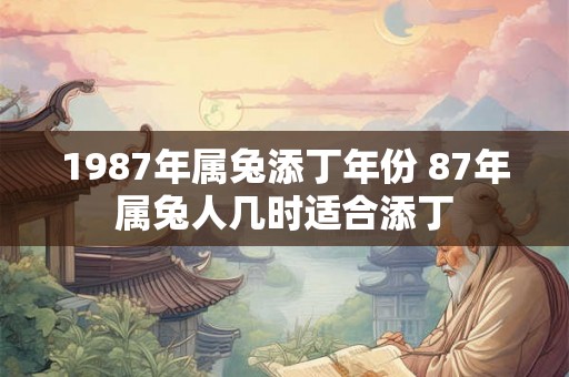 1987年属兔添丁年份 87年属兔人几时适合添丁