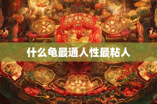什么龟最通人性最粘人 什么龟最通人性最粘人