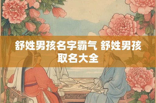 舒姓男孩名字霸气 舒姓男孩取名大全