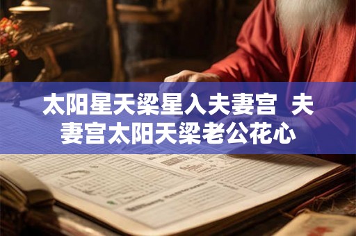 太阳星天梁星入夫妻宫  夫妻宫太阳天梁老公花心