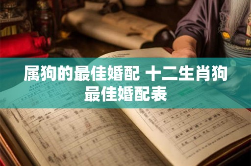 属狗的最佳婚配 十二生肖狗最佳婚配表