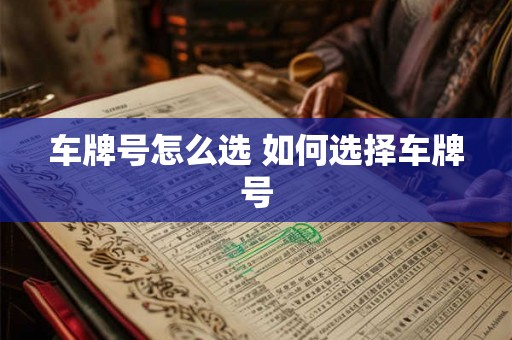 车牌号怎么选 如何选择车牌号 车牌号怎么选 如何选择车牌号