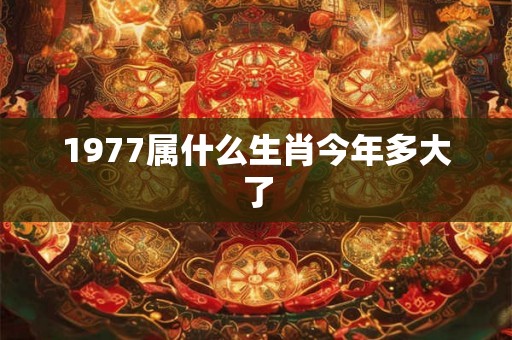 1977属什么生肖今年多大了