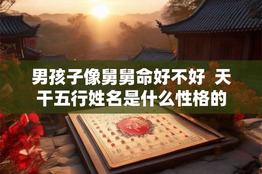 男孩子像舅舅命好不好  天干五行姓名是什么性格的