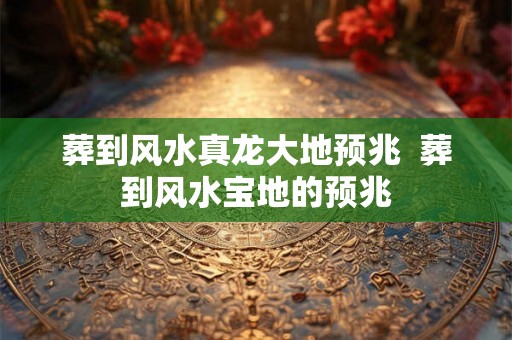 葬到风水真龙大地预兆  葬到风水宝地的预兆
