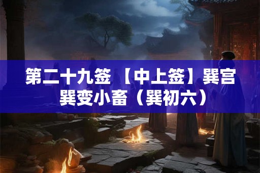 第二十九签 【中上签】巽宫 巽变小畜（巽初六）