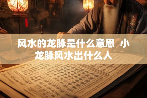 风水的龙脉是什么意思  小龙脉风水出什么人