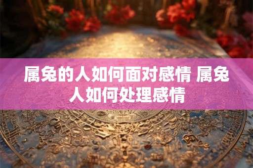 属兔的人如何面对感情 属兔人如何处理感情