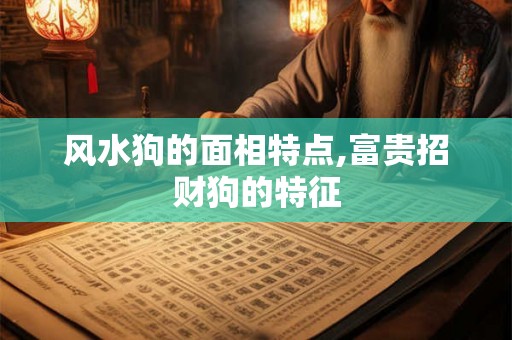 风水狗的面相特点,富贵招财狗的特征