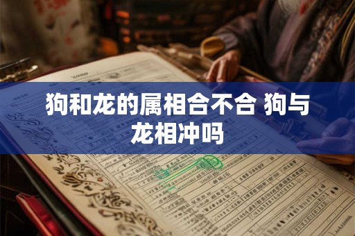 狗和龙的属相合不合 狗与龙相冲吗