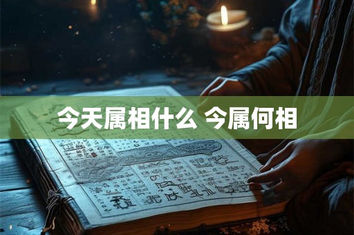 今天属相什么 今属何相