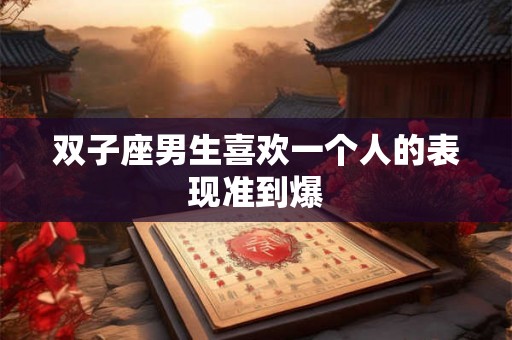 双子座男生喜欢一个人的表现准到爆