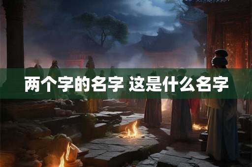 两个字的名字 这是什么名字
