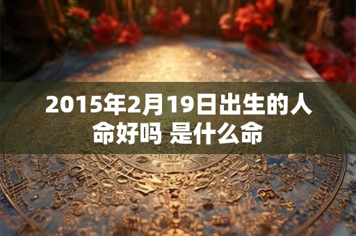 2015年2月19日出生的人命好吗 是什么命