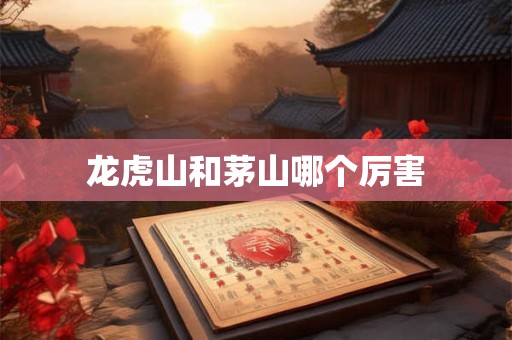 龙虎山和茅山哪个厉害