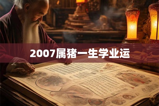 2007属猪一生学业运