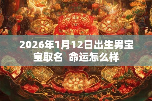 2026年1月12日出生男宝宝取名  命运怎么样