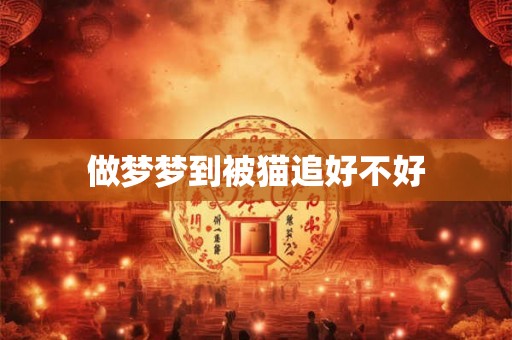 做梦梦到被猫追好不好