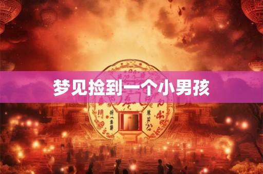 梦见捡到一个小男孩