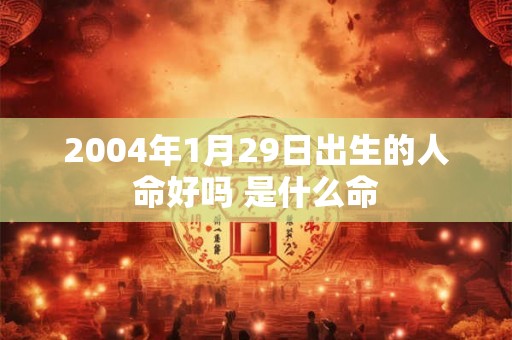 2004年1月29日出生的人命好吗 是什么命