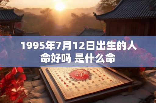 1995年7月12日出生的人命好吗 是什么命