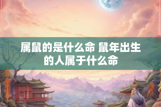 属鼠的是什么命 鼠年出生的人属于什么命