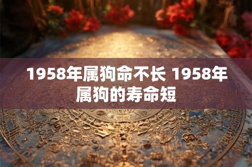 1958年属狗命不长 1958年属狗的寿命短
