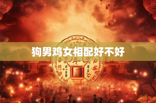 狗男鸡女相配好不好 狗男鸡女相配好不好