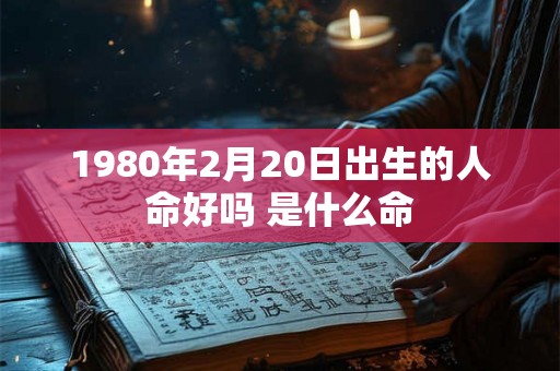 1980年2月20日出生的人命好吗 是什么命