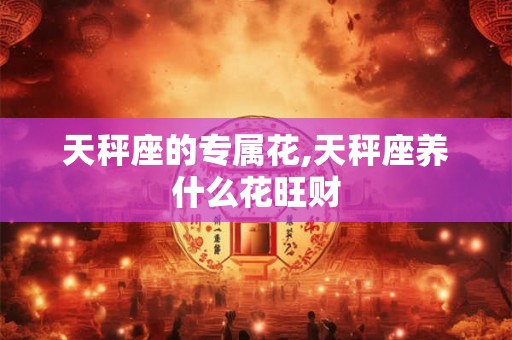 天秤座的专属花,天秤座养什么花旺财