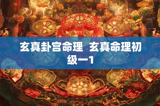 玄真卦宫命理  玄真命理初级一1