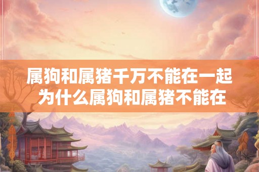 属狗和属猪千万不能在一起 为什么属狗和属猪不能在一起