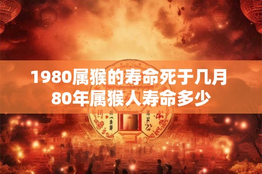 1980属猴的寿命死于几月 80年属猴人寿命多少