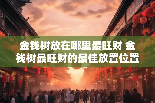 金钱树放在哪里最旺财 金钱树最旺财的最佳放置位置 金钱树放在哪里最旺财 金钱树最旺财的最佳放置位置