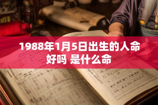 1988年1月5日出生的人命好吗 是什么命