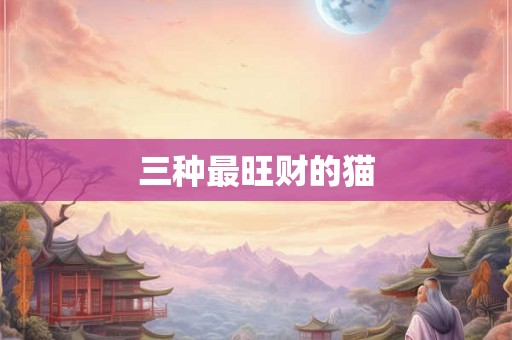三种最旺财的猫 三种最旺财的猫
