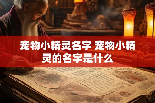 宠物小精灵名字 宠物小精灵的名字是什么