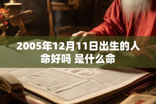 2005年12月11日出生的人命好吗 是什么命