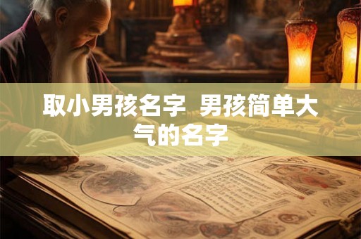取小男孩名字 男孩简单大气的名字 取小男孩名字 男孩简单大气的名字