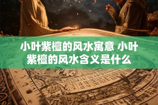 小叶紫檀的风水寓意 小叶紫檀的风水含义是什么 小叶紫檀的风水寓意 小叶紫檀的风水含义是什么