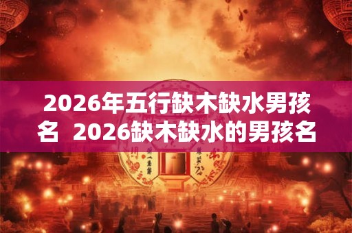 2026年五行缺木缺水男孩名  2026缺木缺水的男孩名字大全