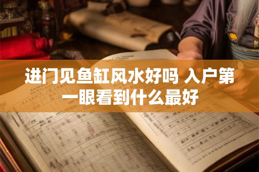 进门见鱼缸风水好吗 入户第一眼看到什么最好 进门见鱼缸风水好吗 入户第一眼看到什么最好