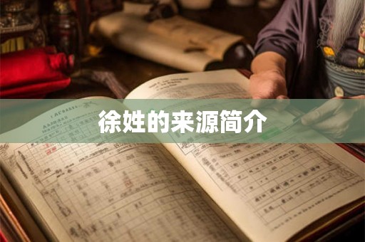 徐姓的来源简介